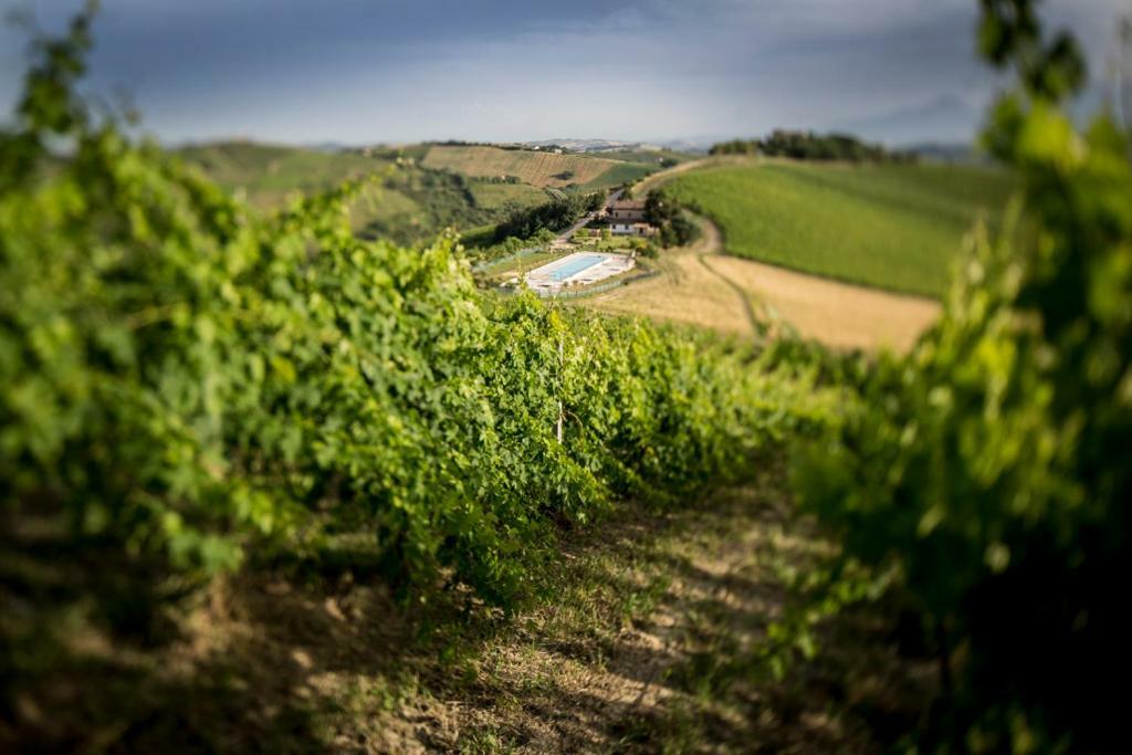Casali Costadoro Acquaviva Picena Luaran gambar
