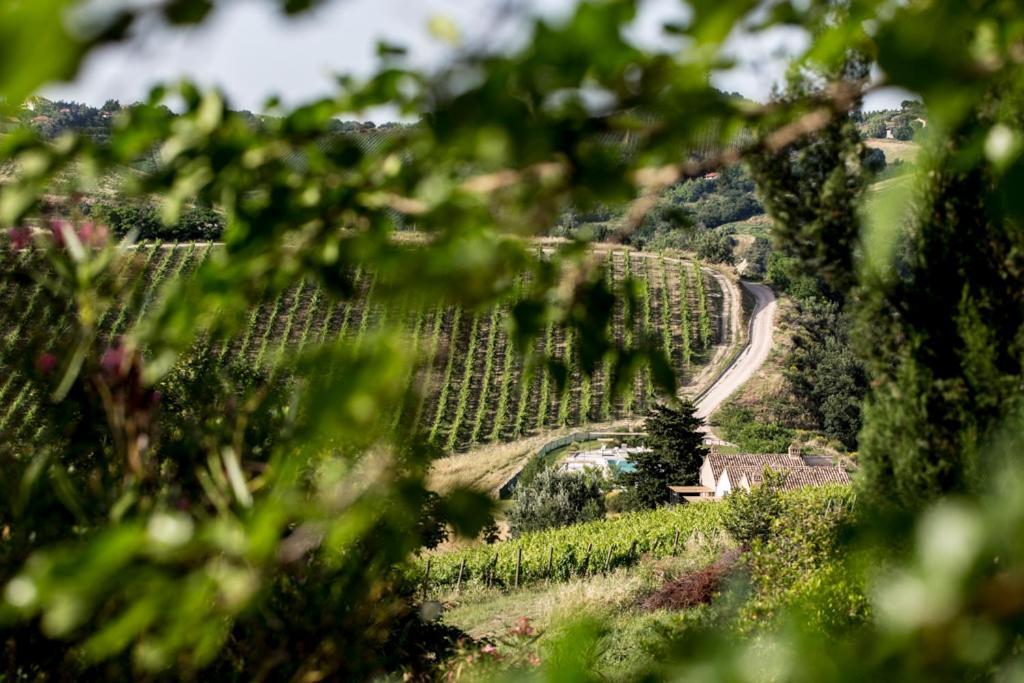 Casali Costadoro Acquaviva Picena Luaran gambar